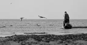 Człowiek i ptaki...