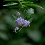 Manual nie byle jaki