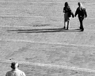 The follower