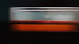 Polska – wciąż w ruchu