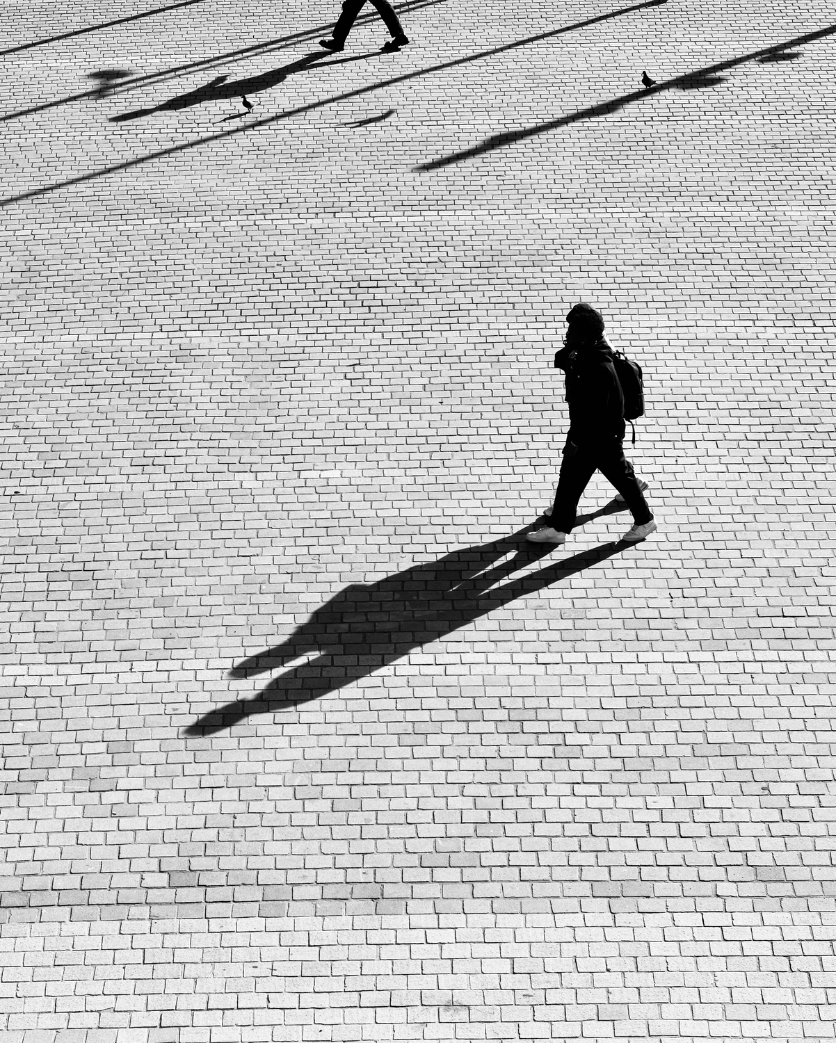 Strangers in Parallel