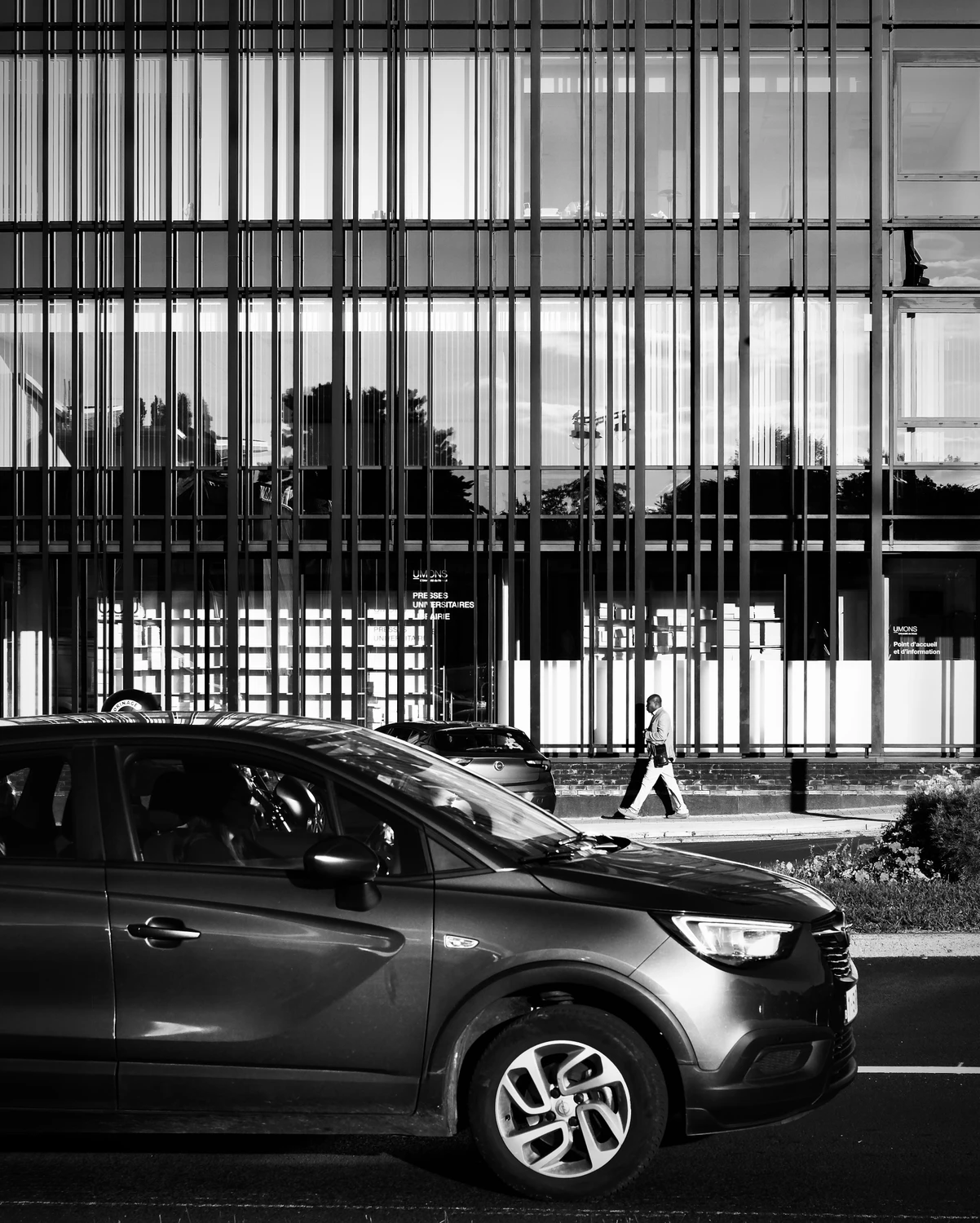 Monochrome Jungle