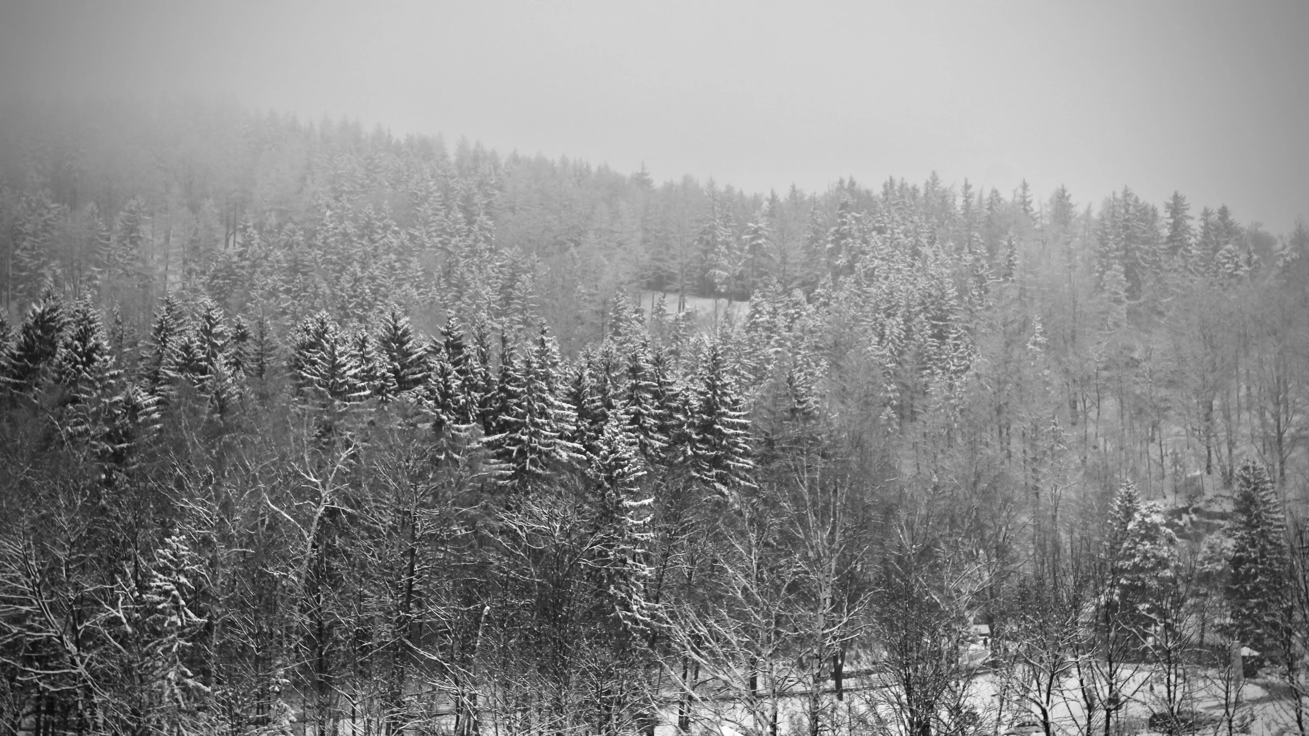 Cisza zimowego poranka