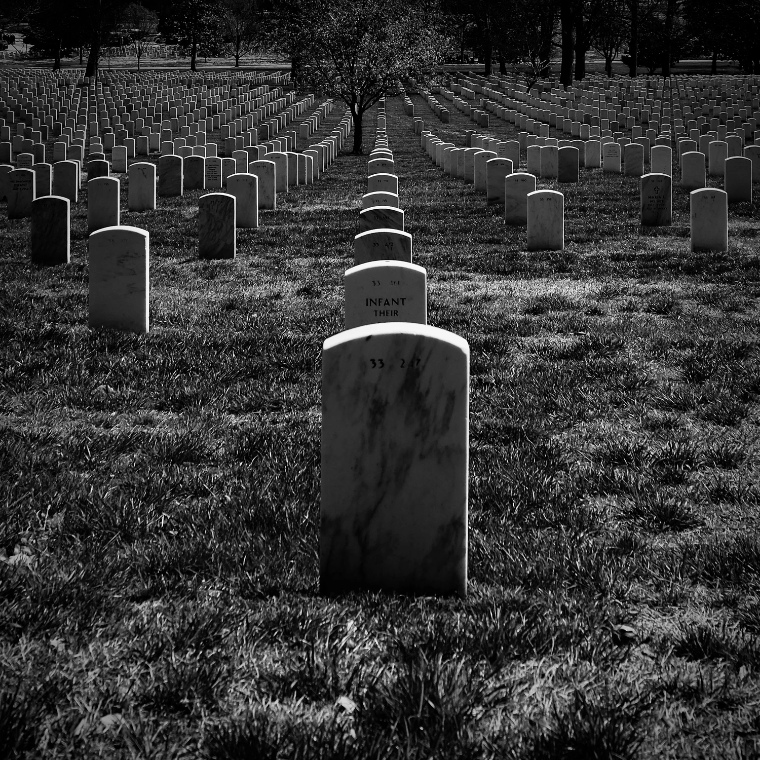 Dominoes of the Departed