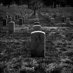 Dominoes of the Departed