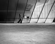 Lines in Motion