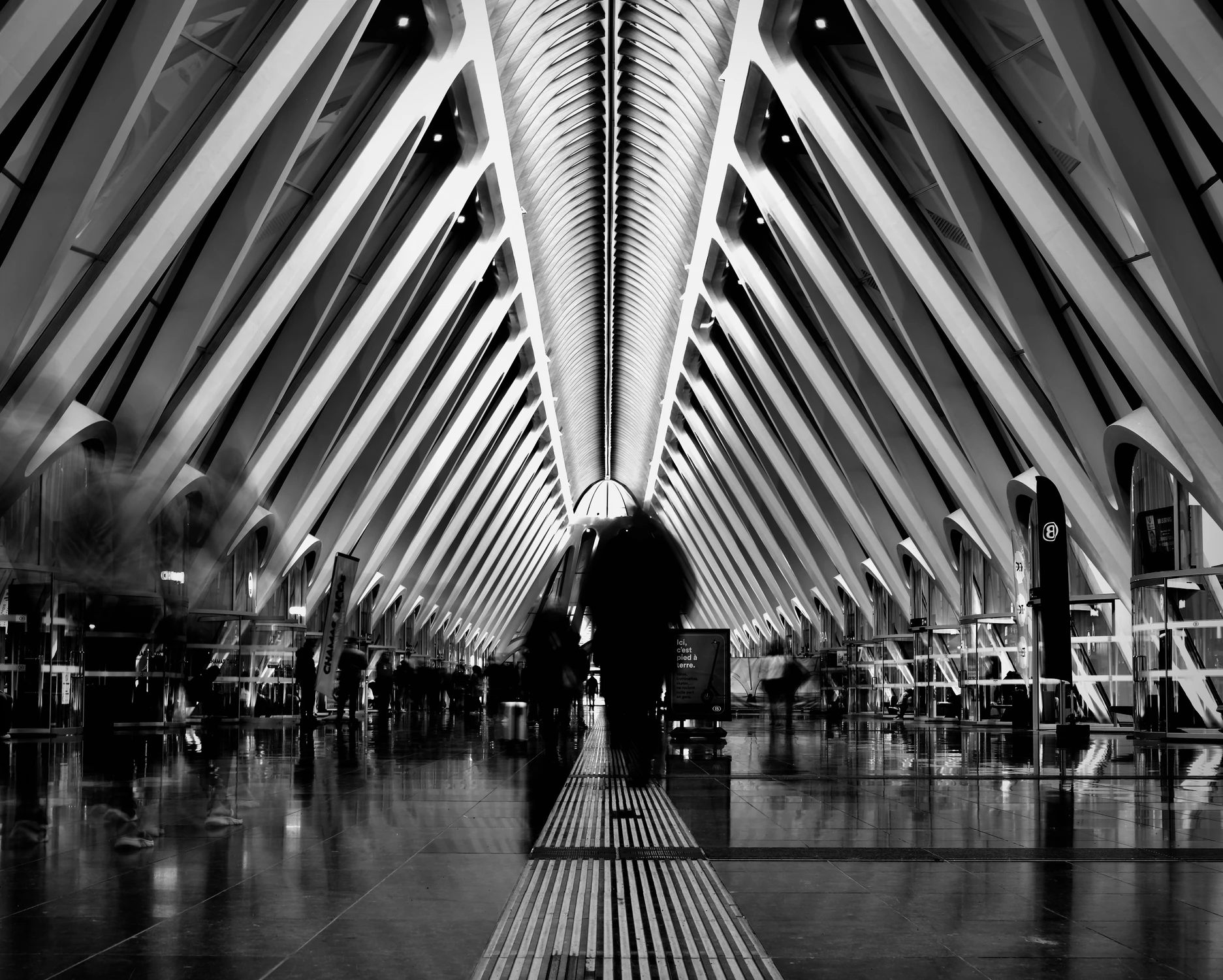 The spine of Transit...