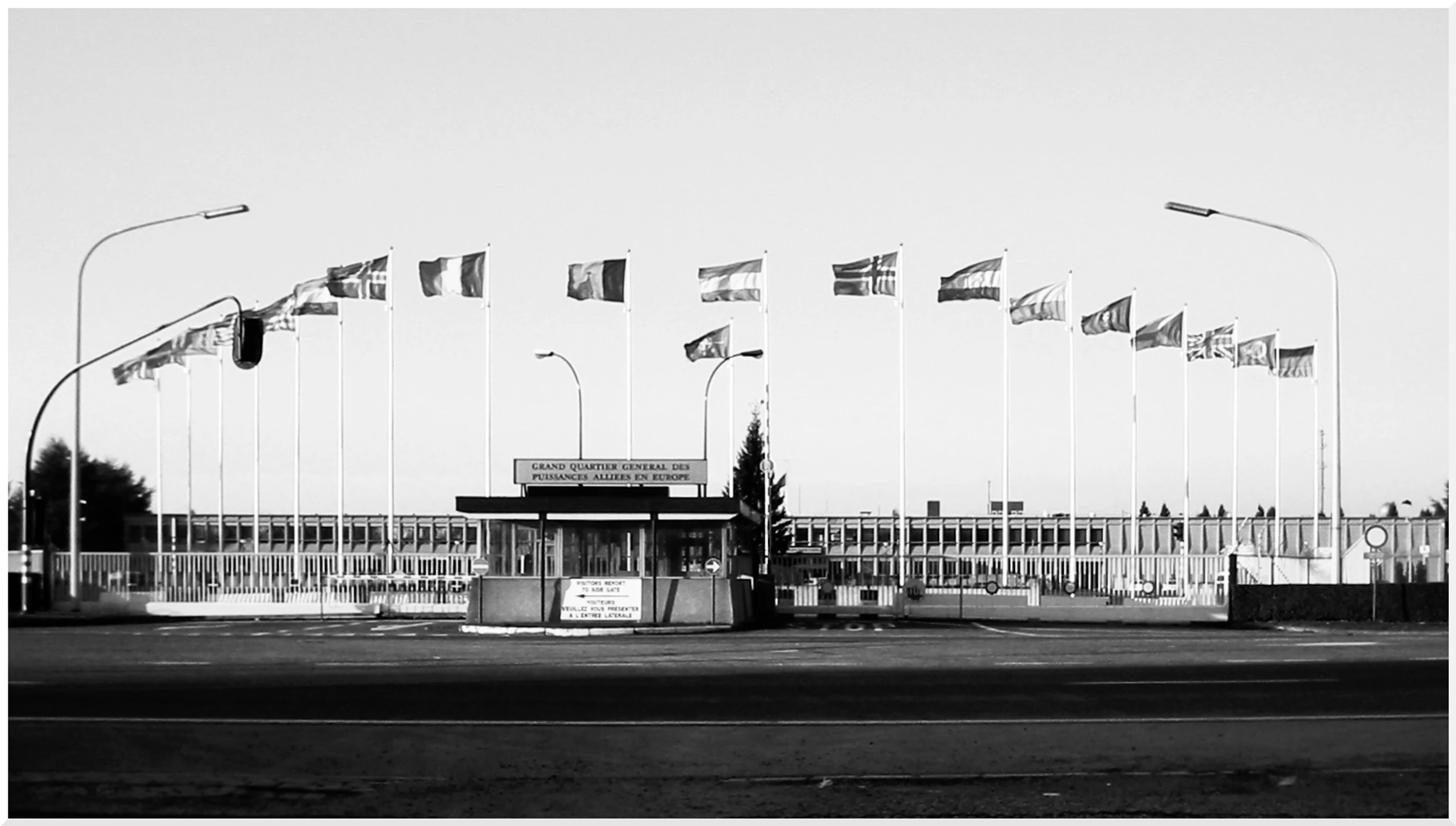 Wśród sojuszników...