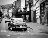 alfa