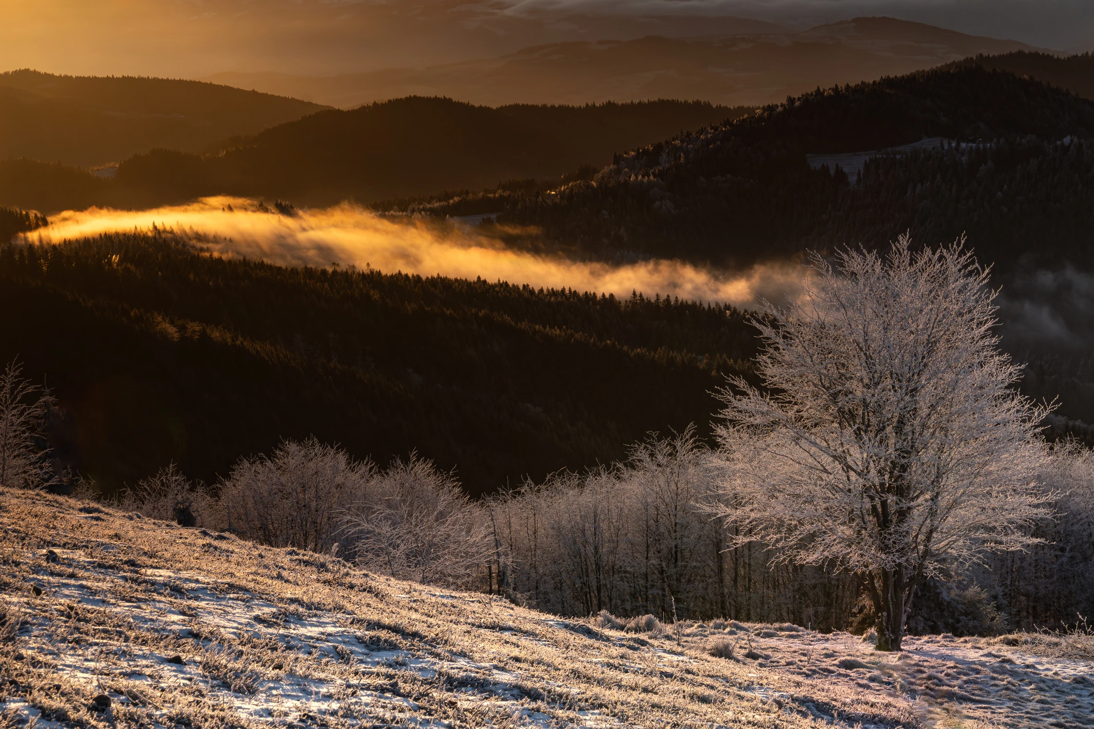 Z Polany Stumorgowej