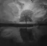 The Lost Morning
