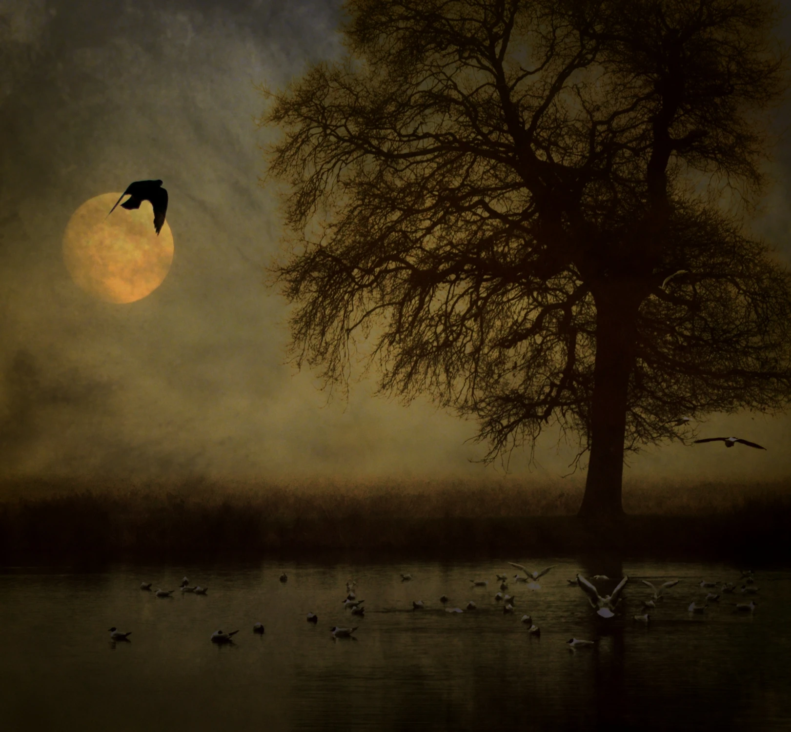 Last Day of Darkness