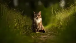 Pogadamy ?