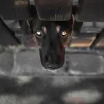 bursztynowe spojrzenie