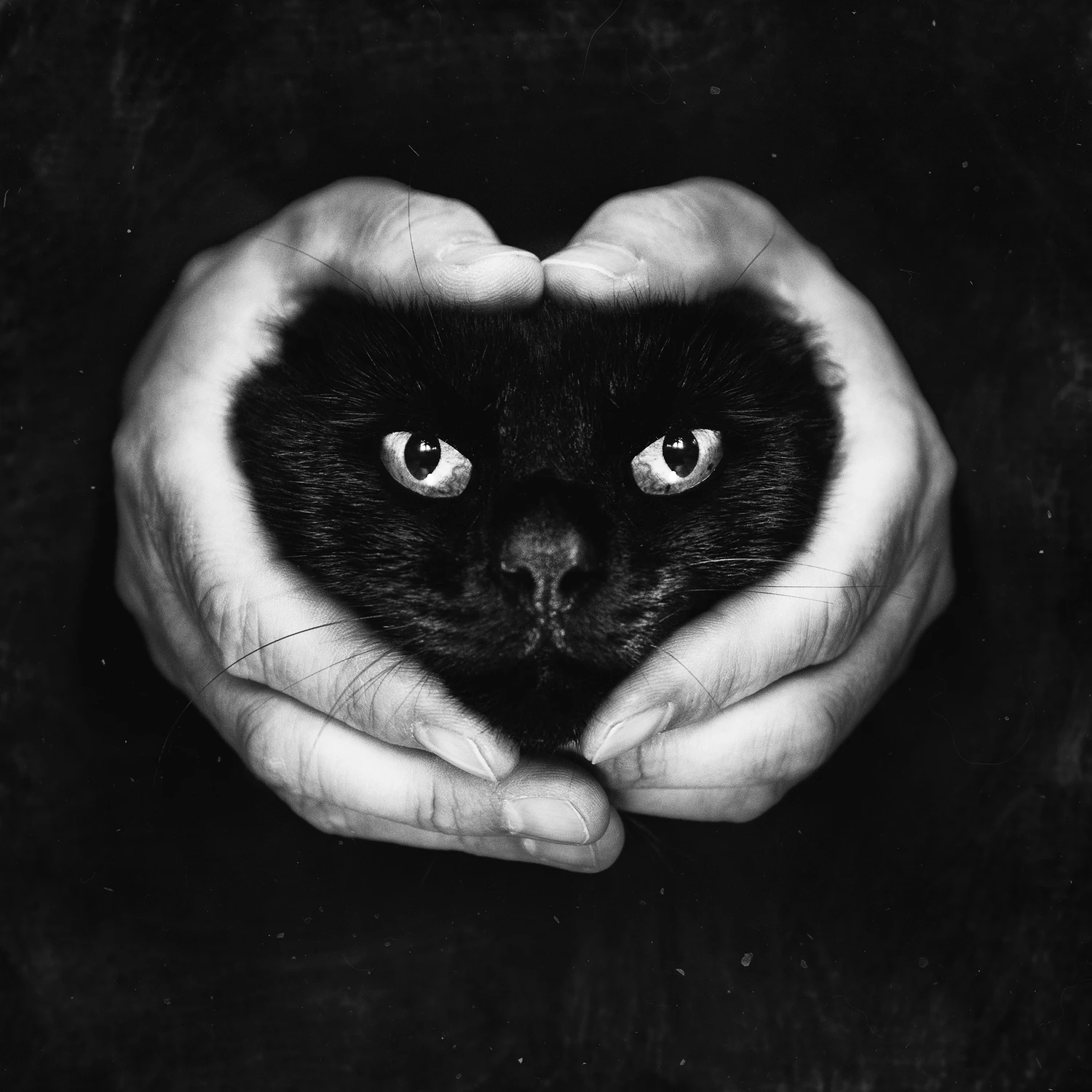 miłość wdłoniach zaklęta