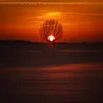 Serce dnia w objęciach nocy