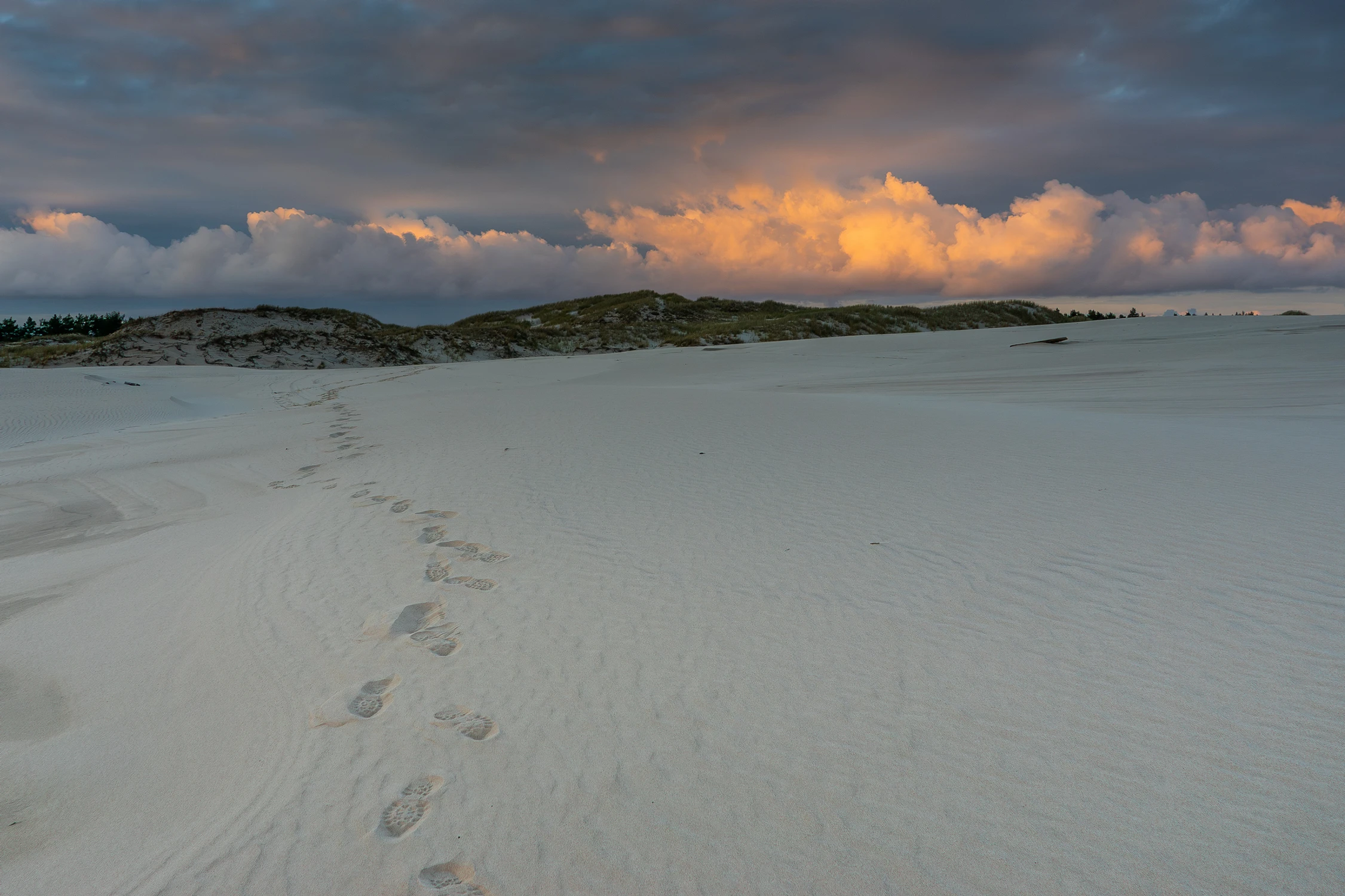 Cd. z wędrowek po wydmach