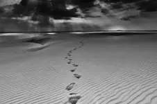 Z wędrówki po wydmach