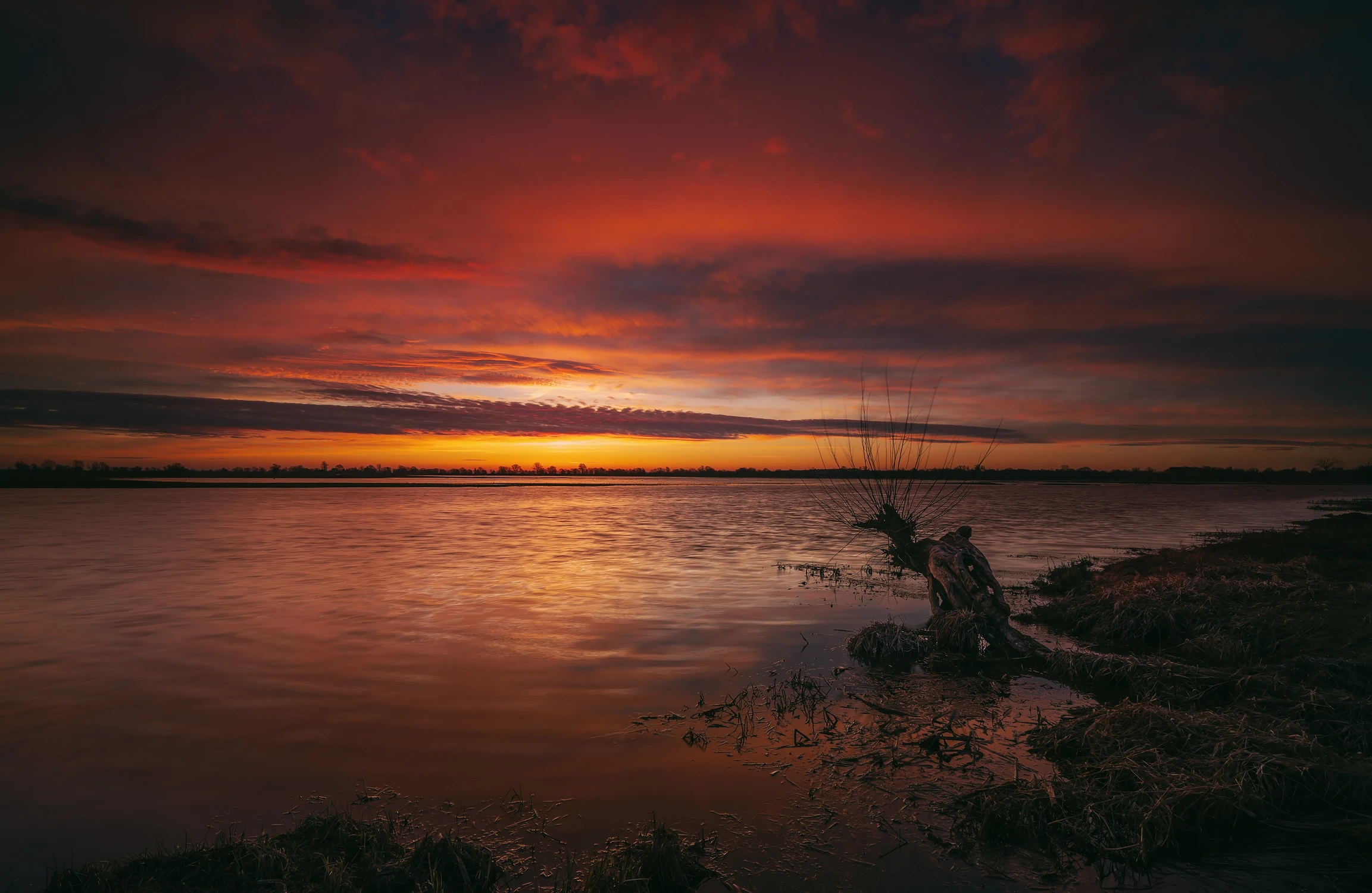 Park Narodowy Ujście Warty