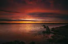 Park Narodowy Ujście Warty