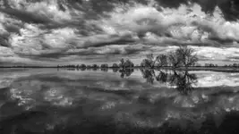 Park Narodowy Ujście Warty