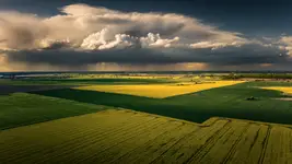Wielkopolska