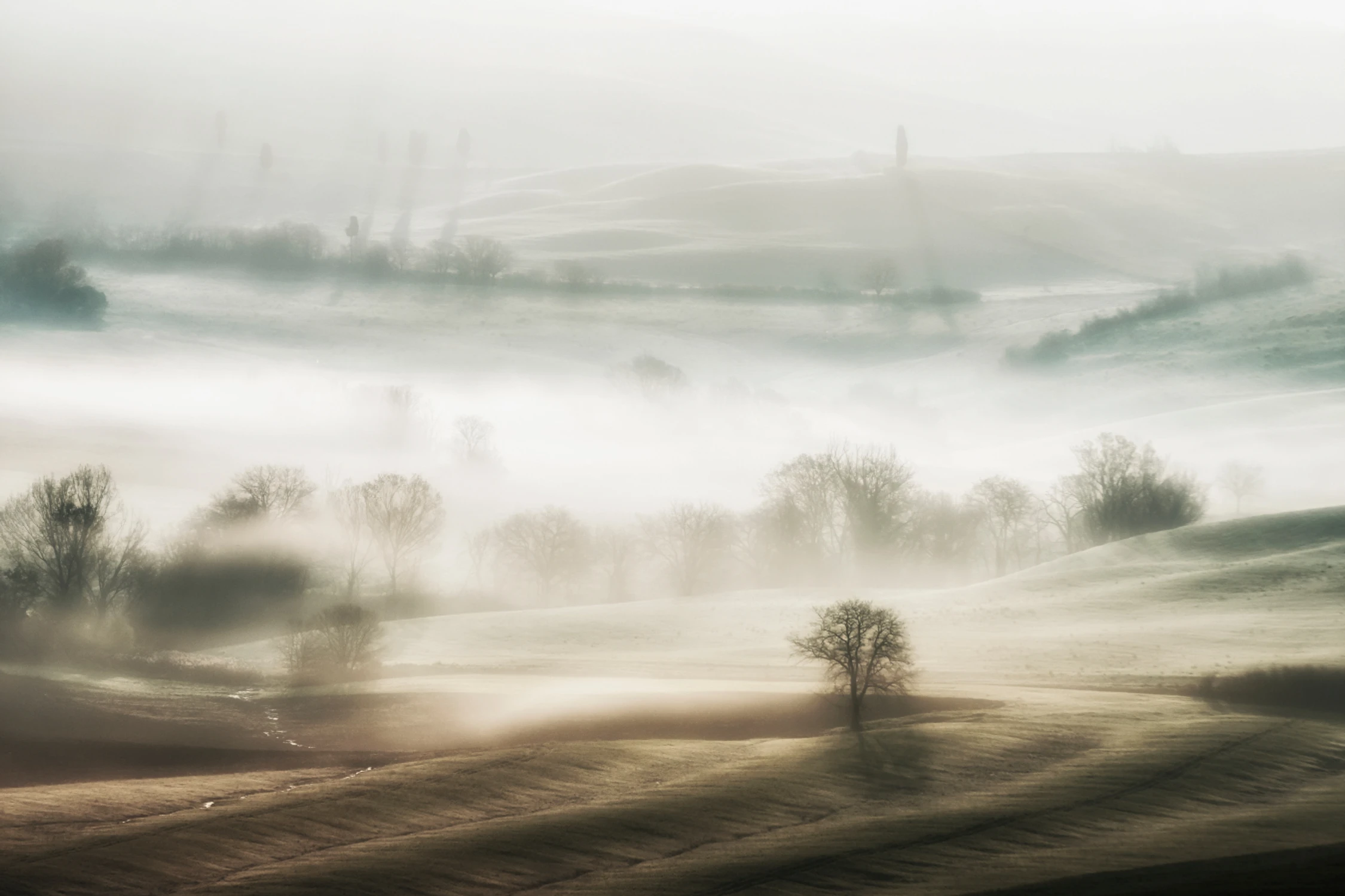 Mglisty poranek 