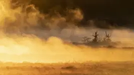 Świt w dolinie mgieł