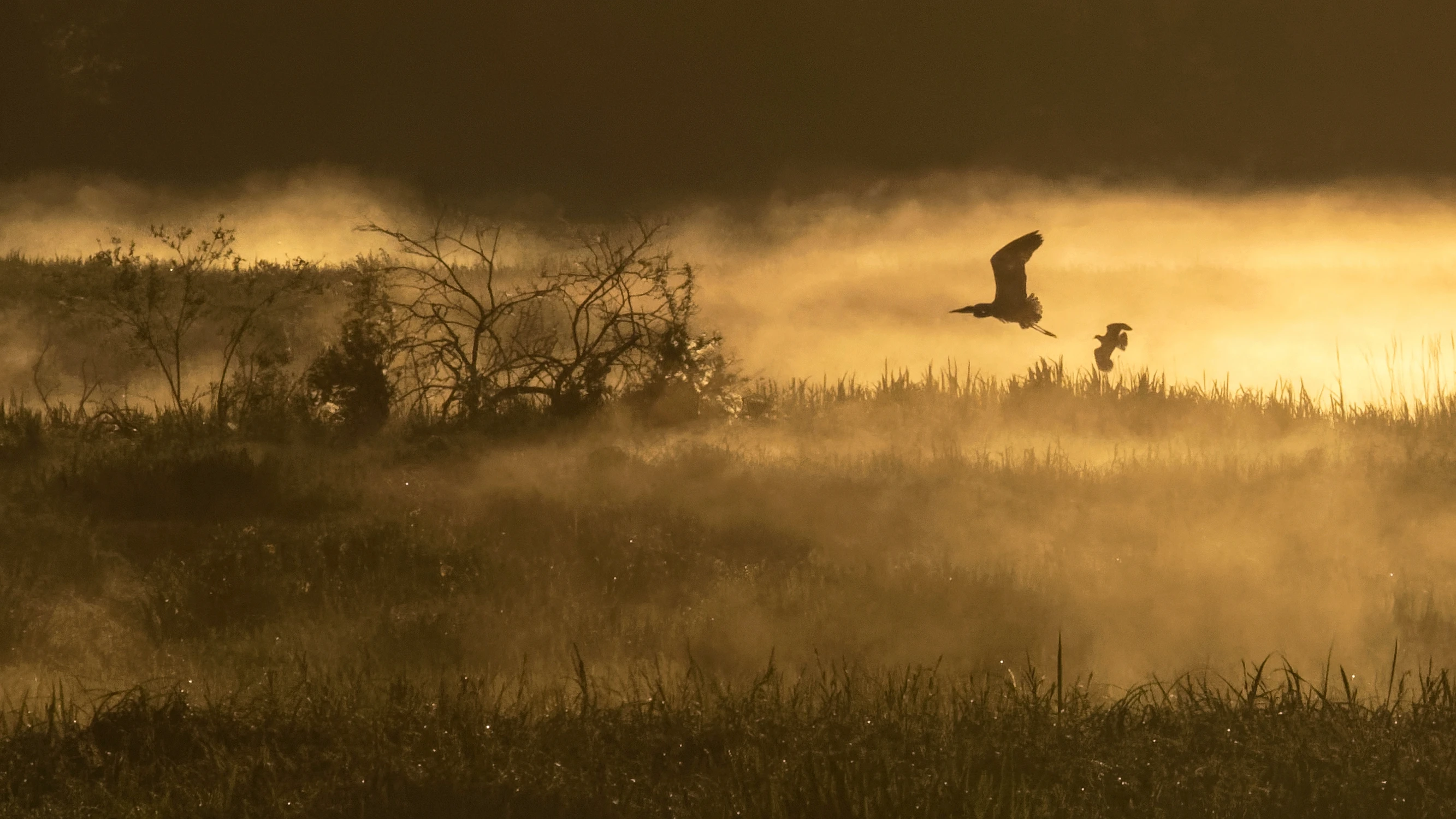 Świt w dolinie mroku...2