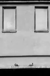 P1588914