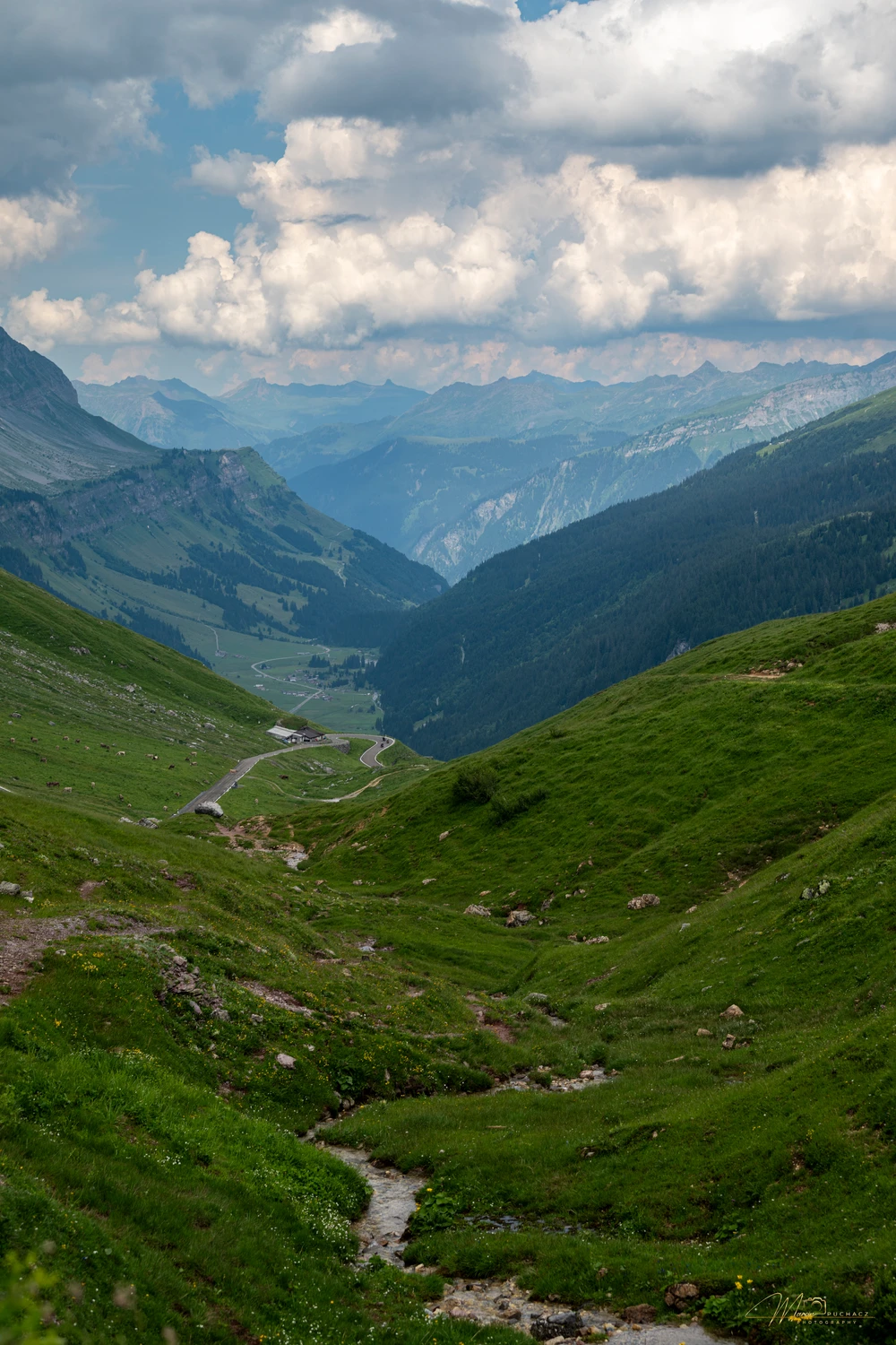 _DSC0366