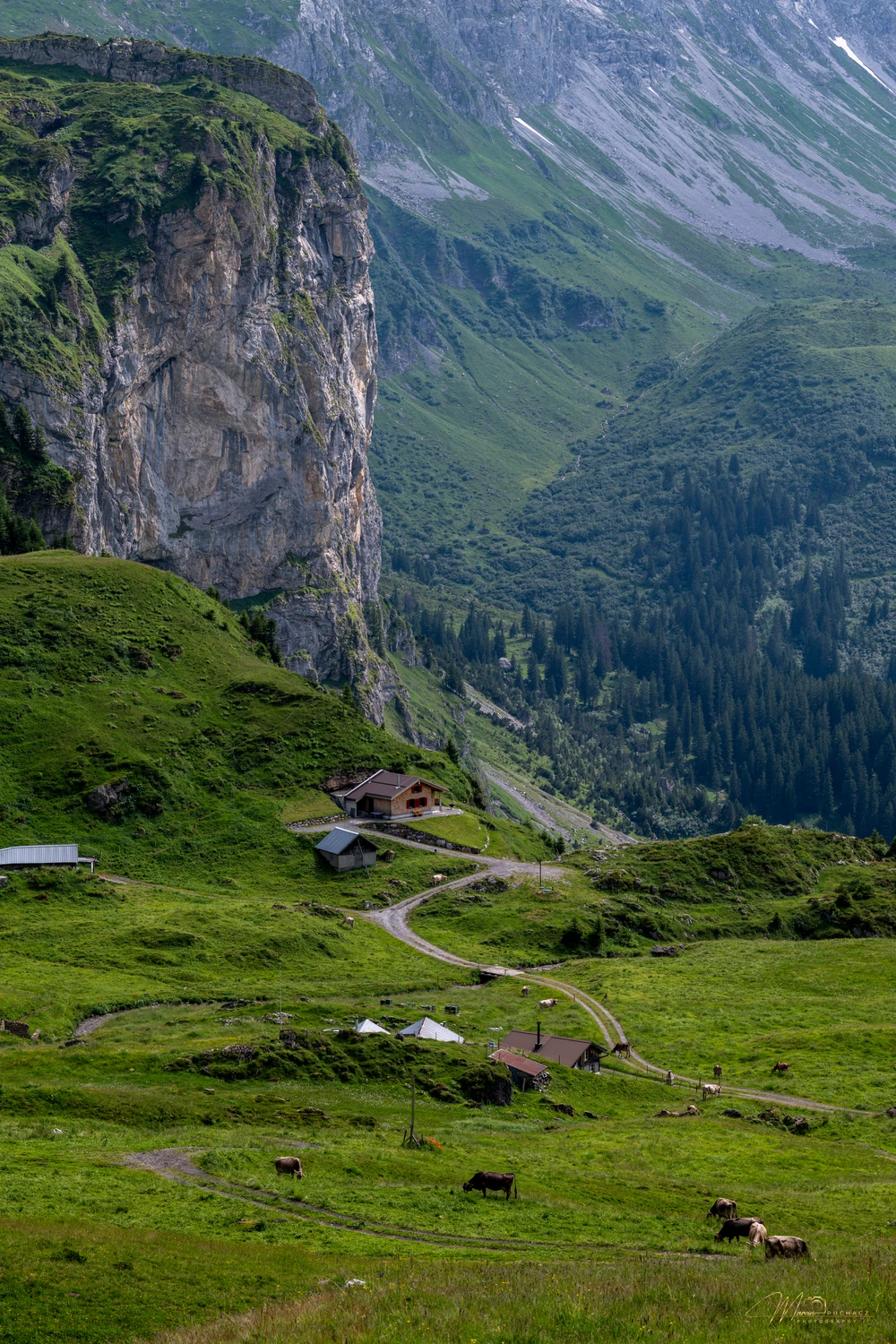 _DSC0391