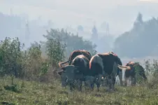 Na Podhalu