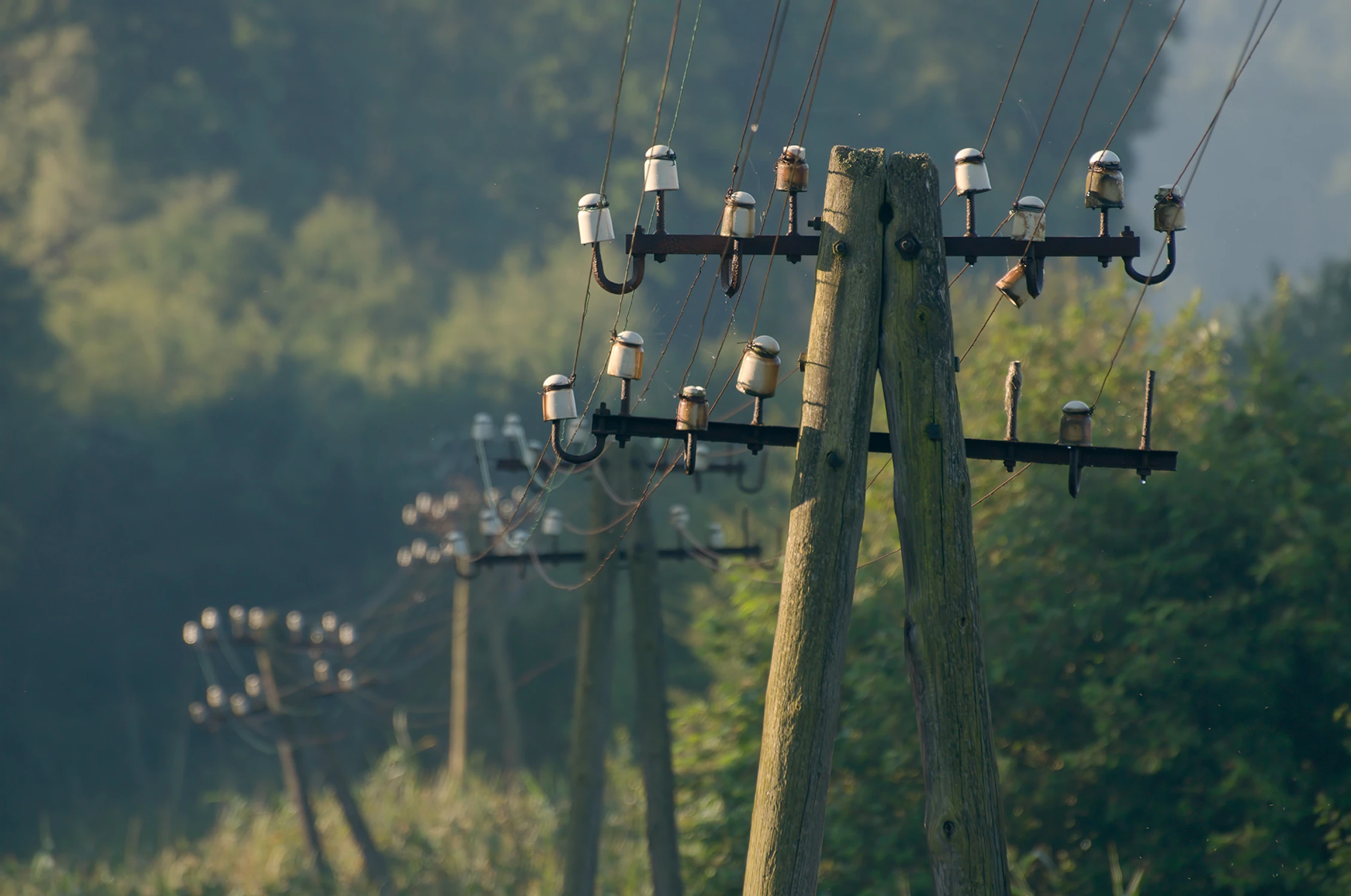 Słupy telefoniczne