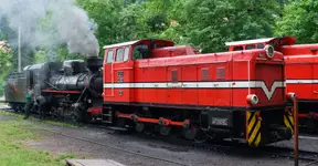 Bieszczadzkie lokomotywy