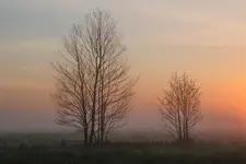 Wschód słońca z ptaszkiem