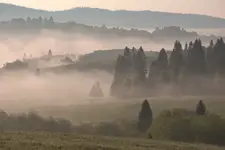 Bieszczadzkie pastwiska