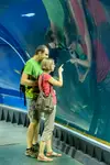 W oceanarium