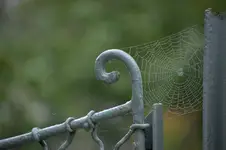Siatka na parkanie.
