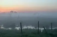 Miękki klimat na ostro