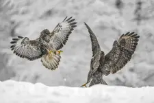 Zimą trzeba się ruszać 🙂