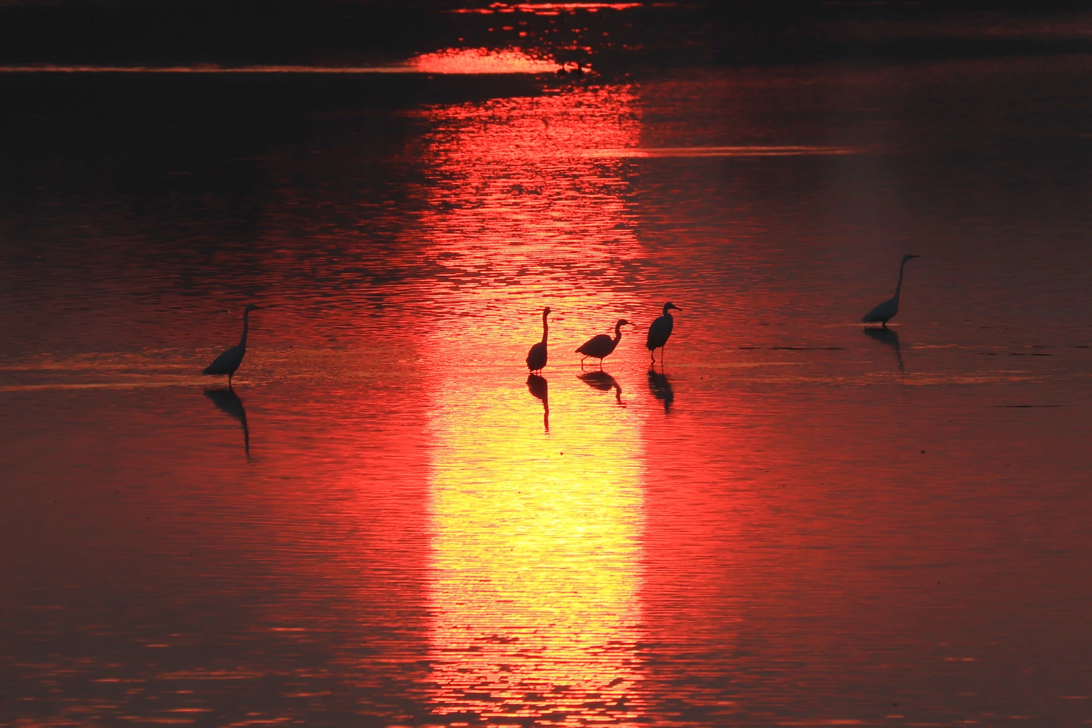 W świetle reflektorów