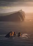 „Three Sisters”