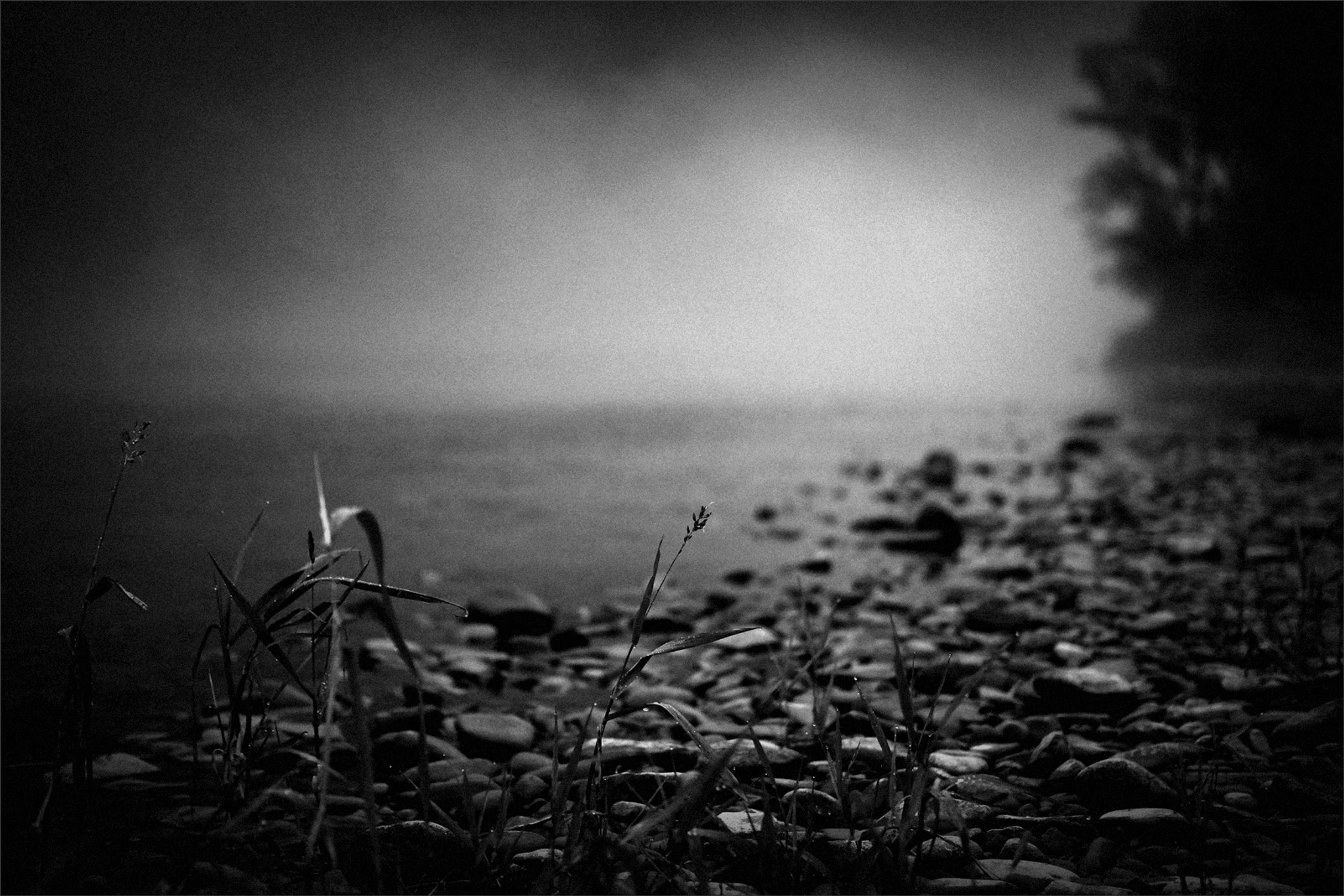 Tales From The San River