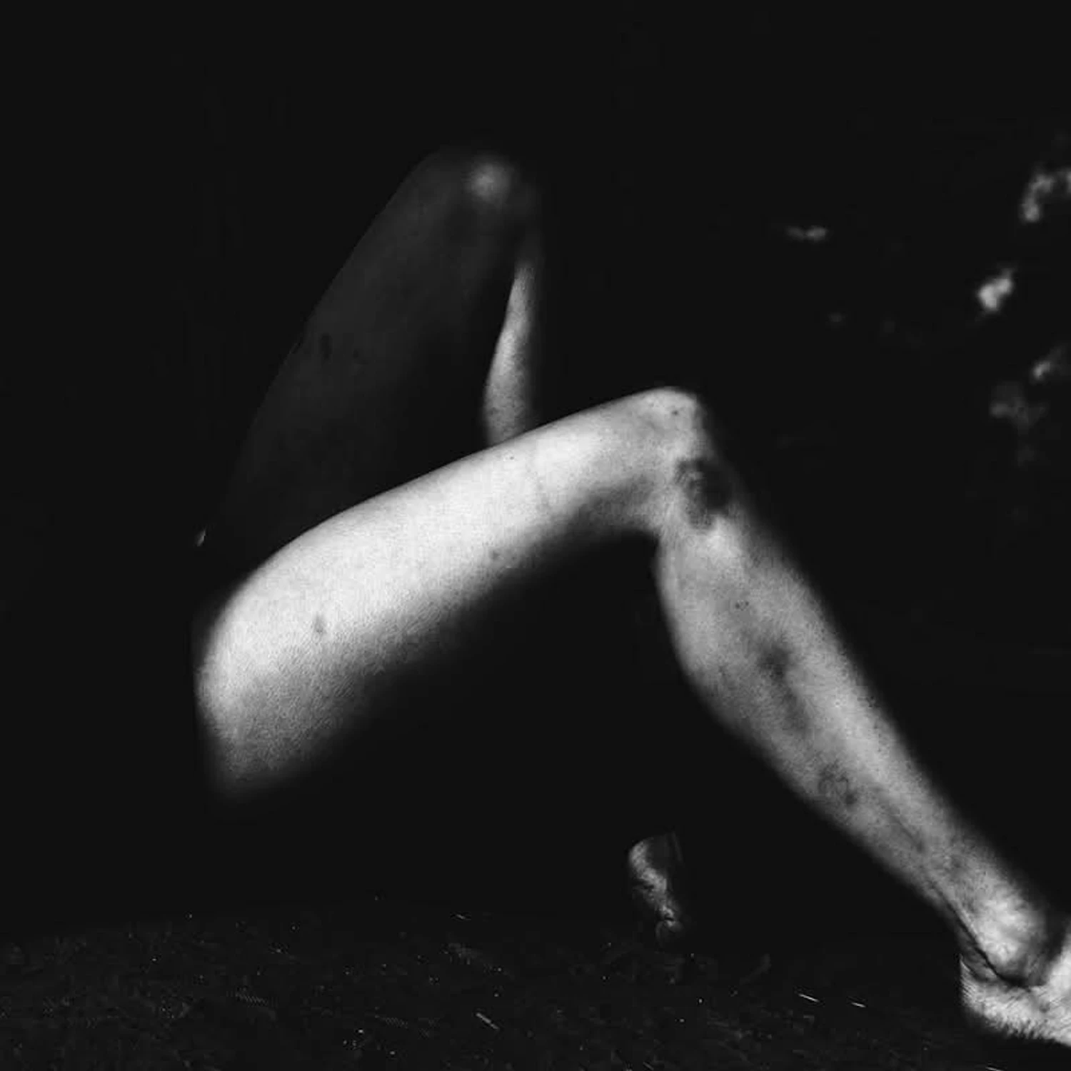 A Meadow Full Of Flowers