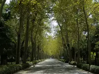 Podróże - Hiszpania - Sewilla 