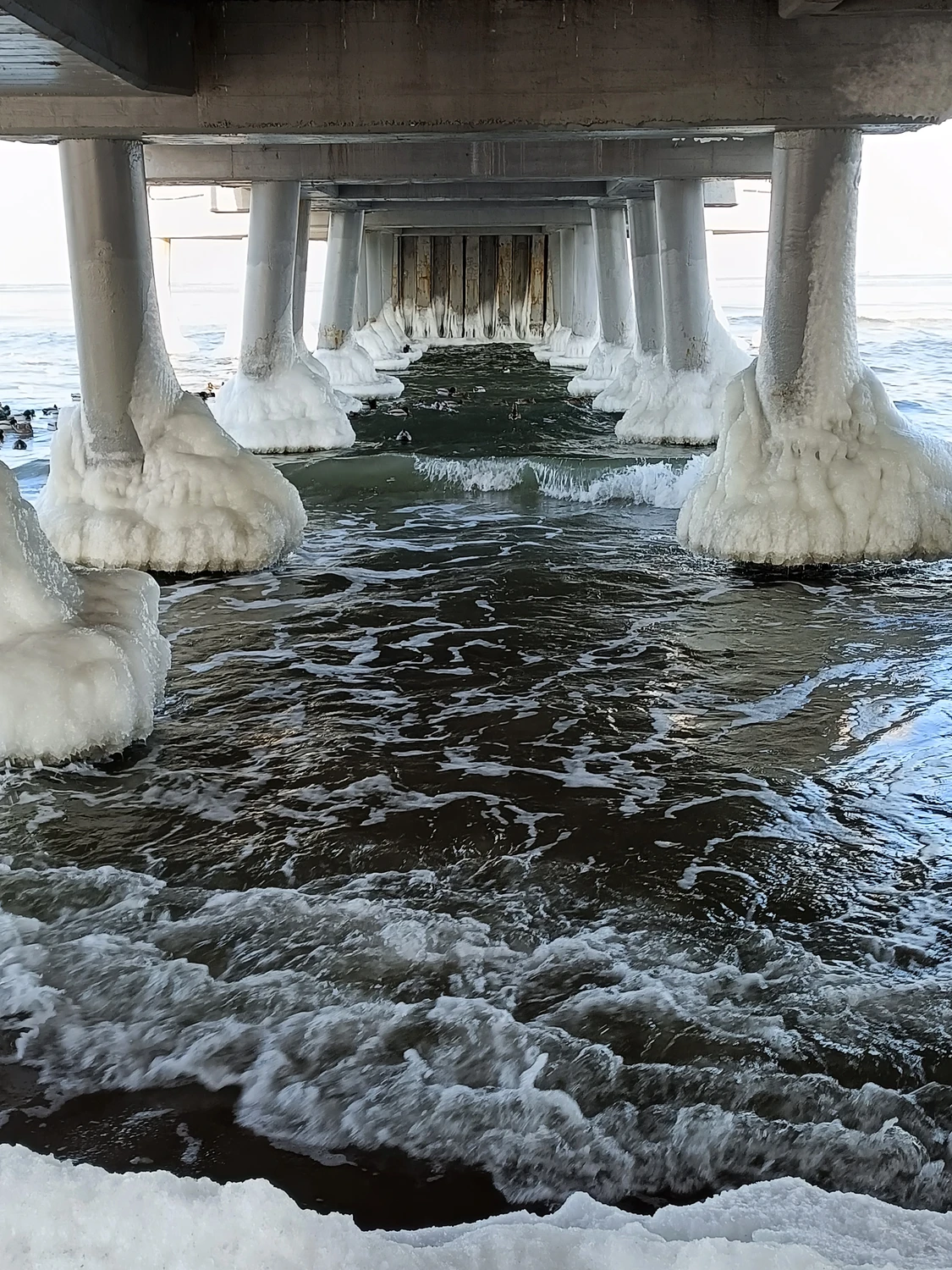 Podróże - Gdańsk Brzeźno 