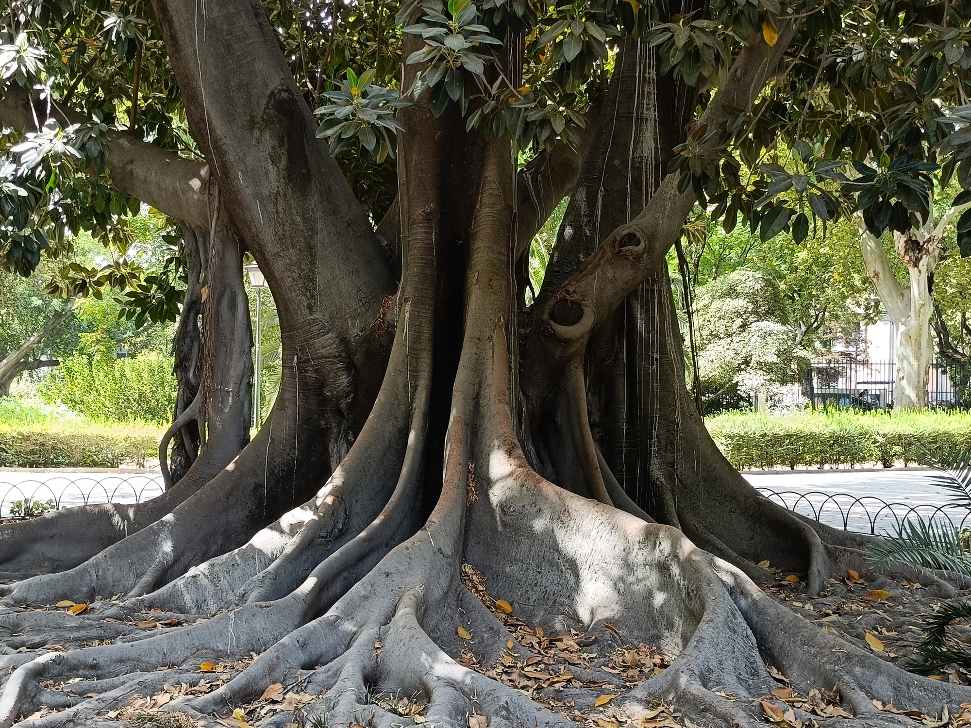 Podróże - Hiszpania - Sewilla