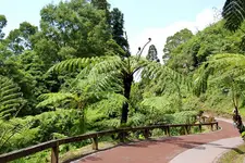 Podróże - Portugalia - Azory