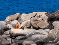 Whisky albo Johnny on the Rocks